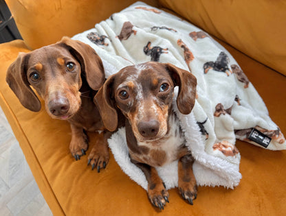 Dachshund Print Pet Snuggle Sack Neutrals