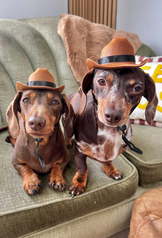 Small Cowboy Hat