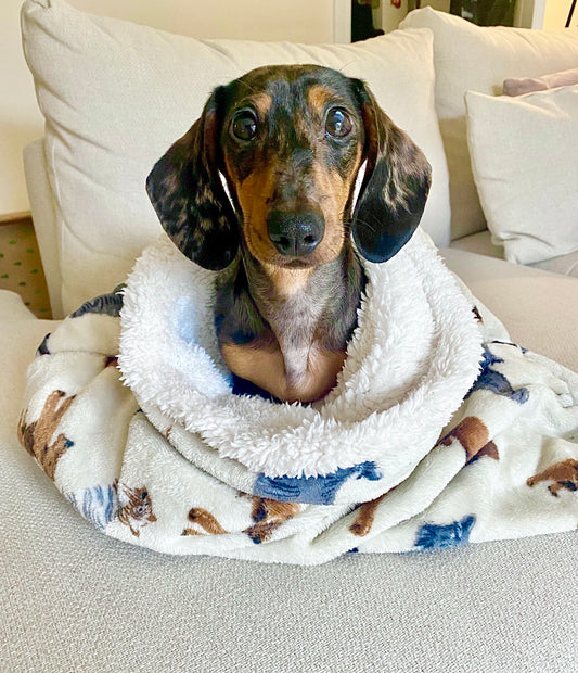 Cream Multi-dog Pet Snuggle Sack