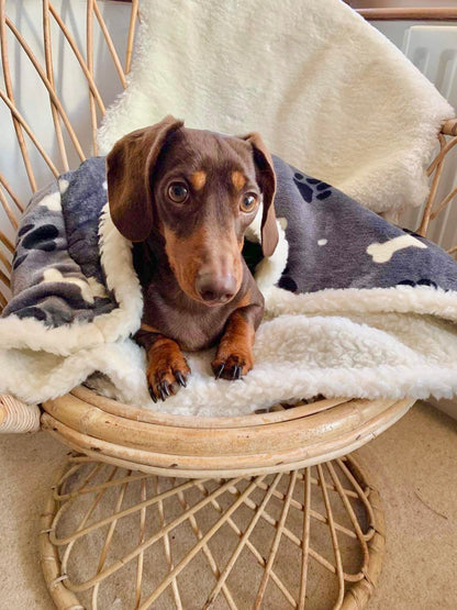 Grey Paw & Bone Pet Snuggle Sack