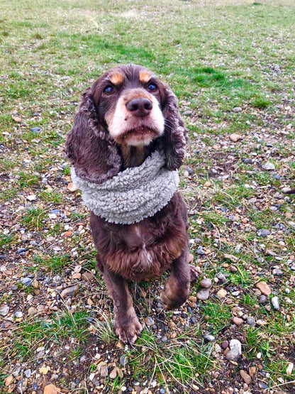 Super Soft Sherpa Snoods