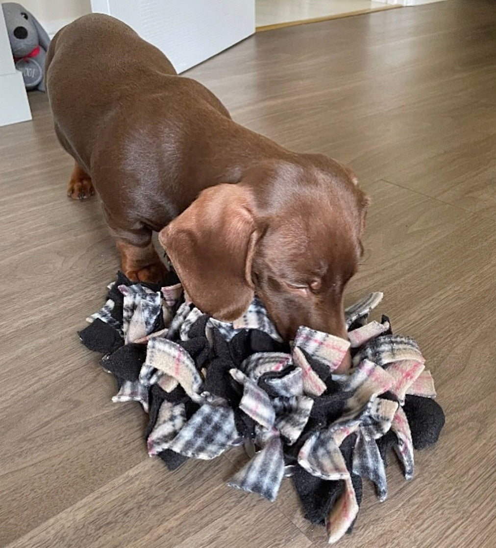 Furrberry Pet Snuffle Mat