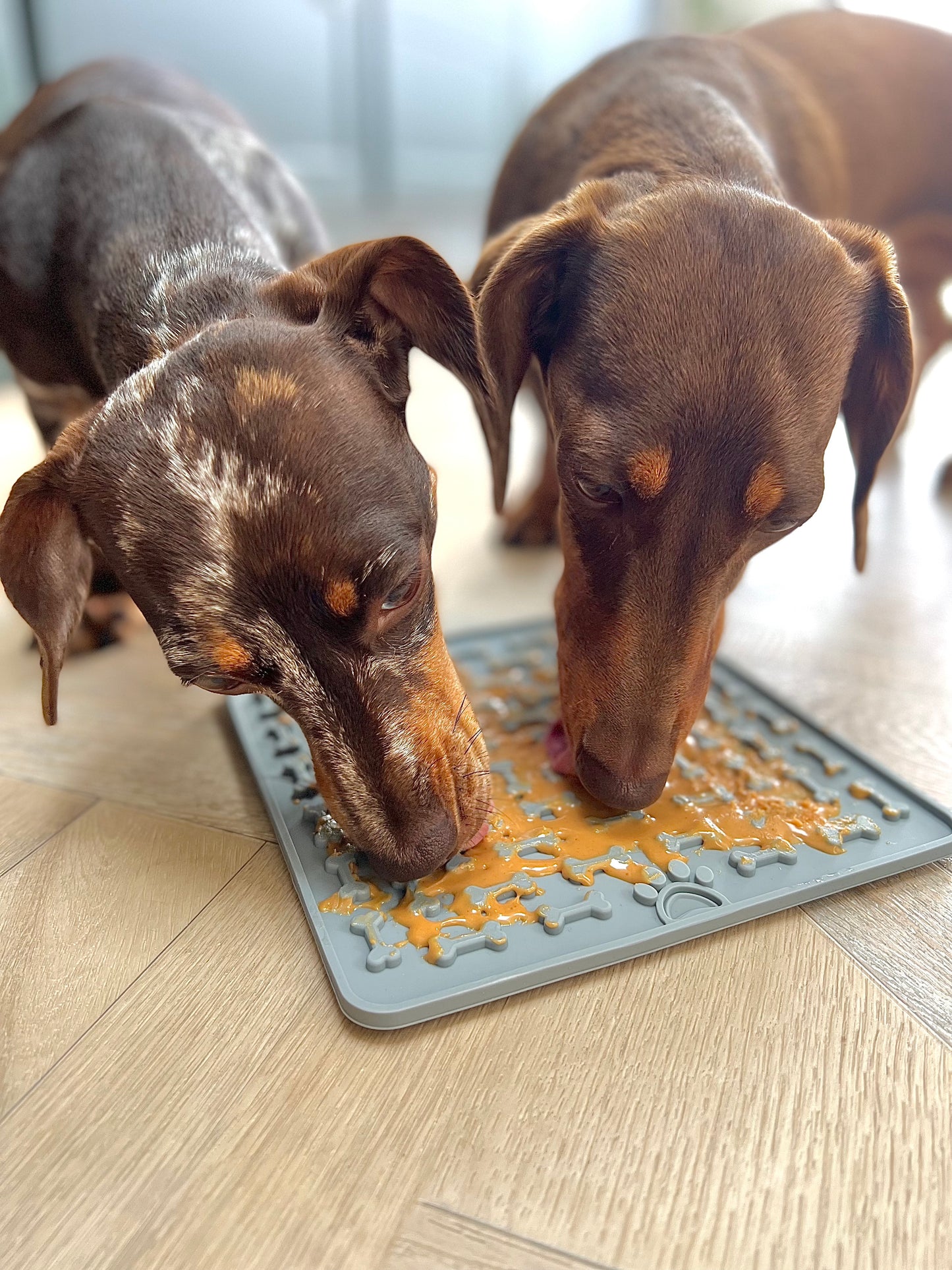 Silicone Pet Lick Mats