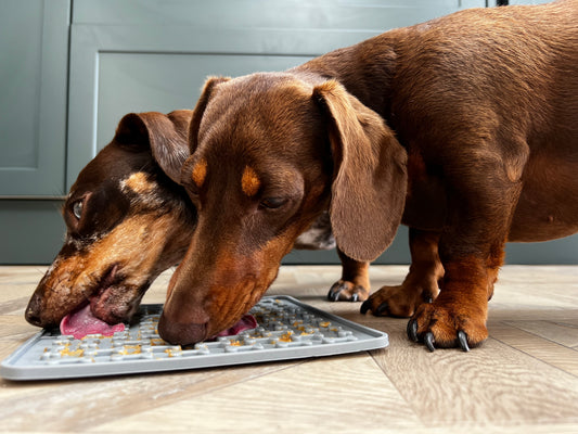 Silicone Pet Lick Mats