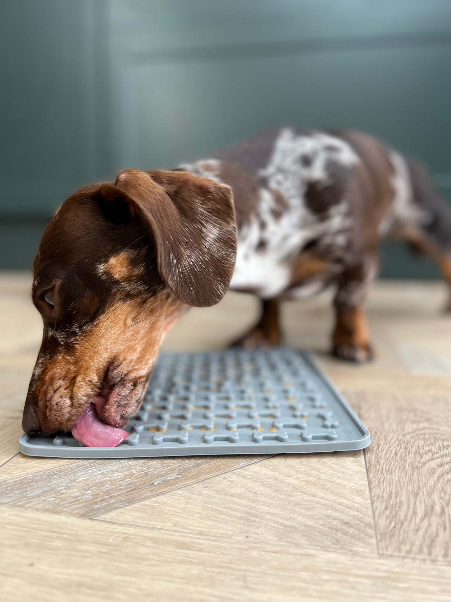 Silicone Pet Lick Mats