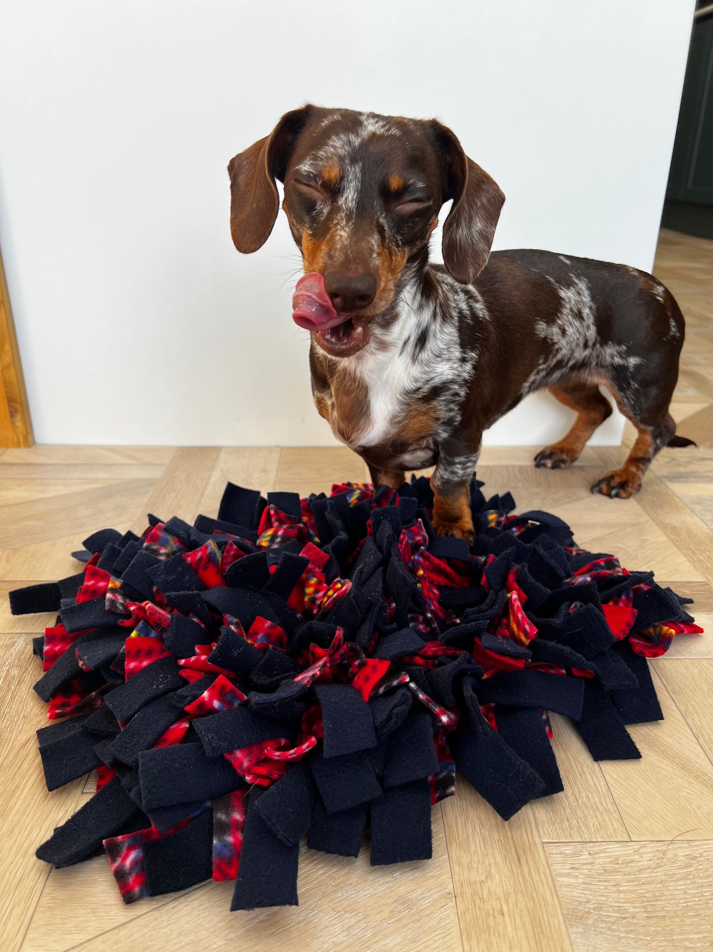 Tartan Pet Snuffle Mat
