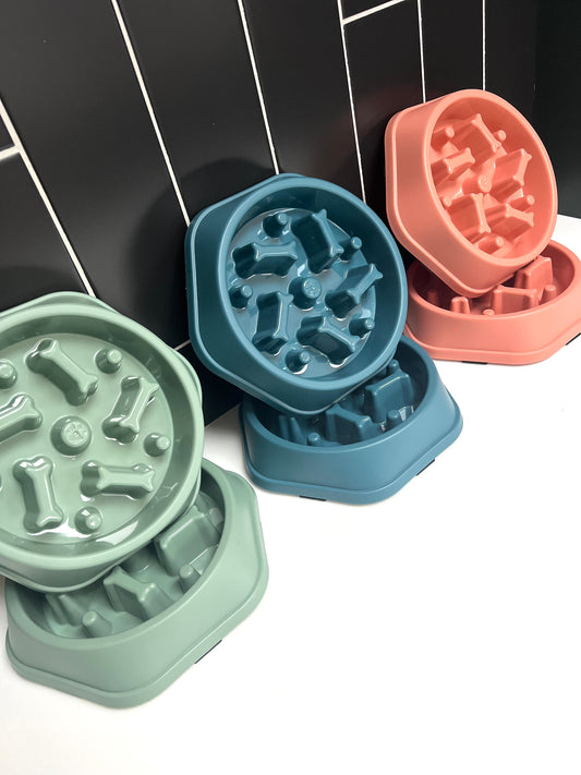 Pet Slow Feeder Bowl