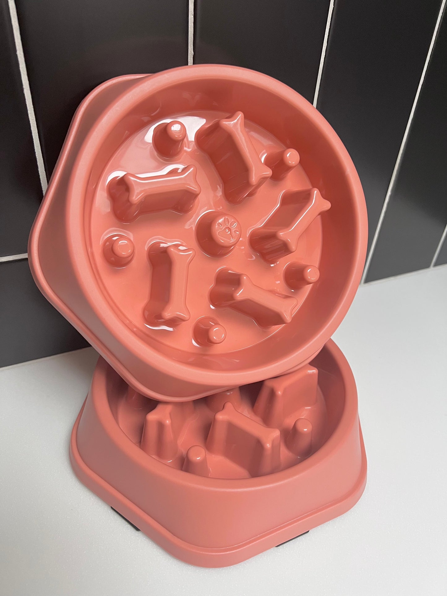 Pet Slow Feeder Bowl