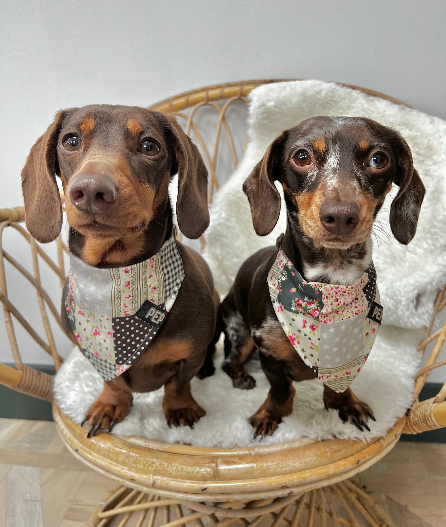 Pep 'n' Pup Patchwork Pet Bandana