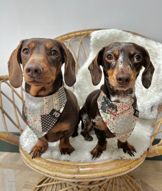 Pep 'n' Pup Patchwork Pet Bandana