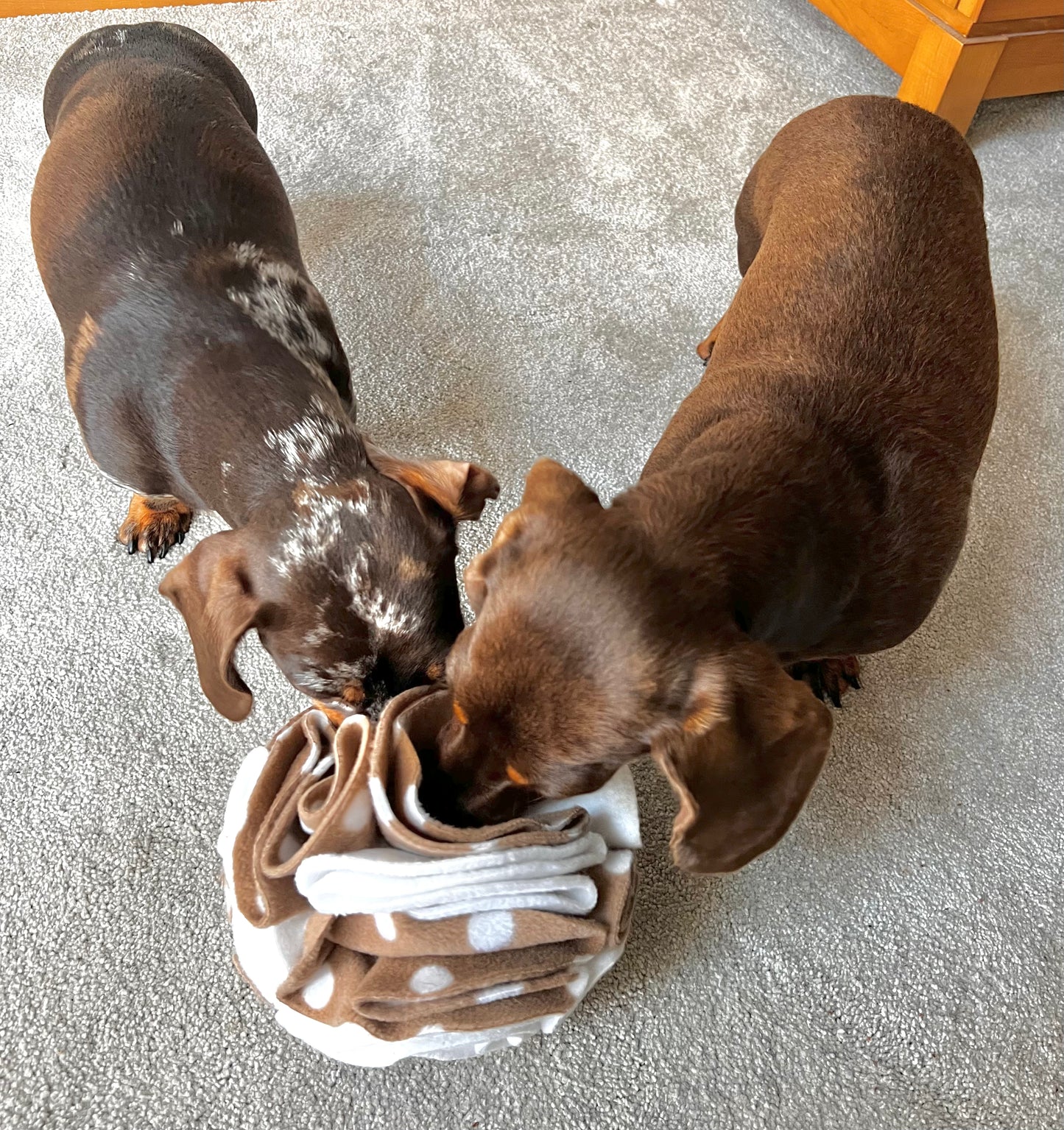 Pet Snuffle Balls