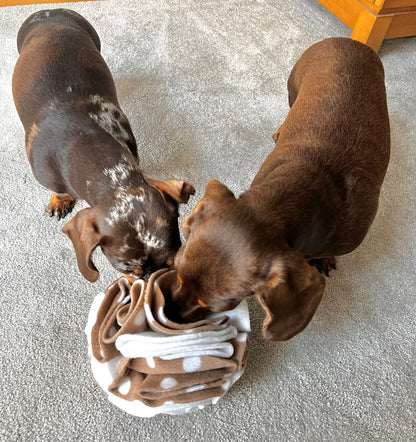 Pet Snuffle Balls